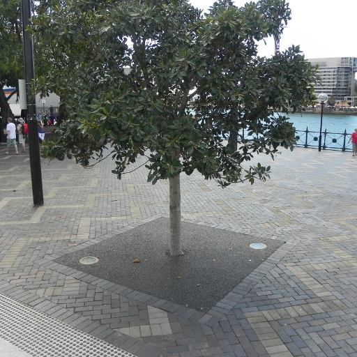 Tree Surrounds 7 Permeable Tree Surrounds 4 512x512 1