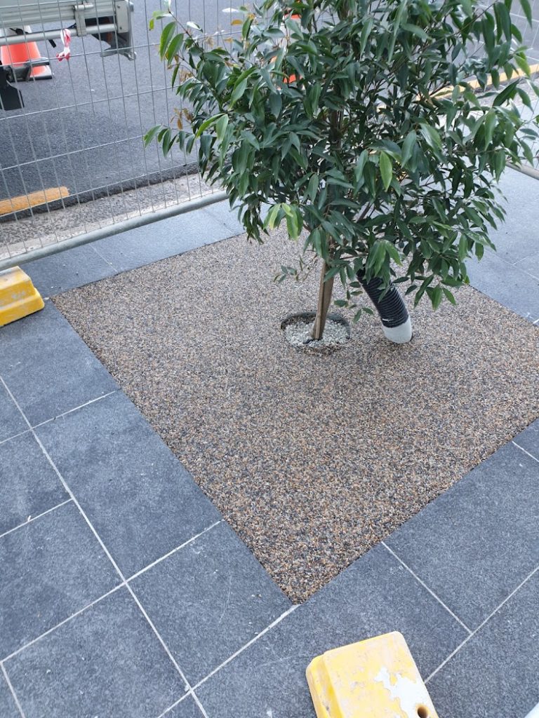 Permeable Tree Surrounds vs Typical Tree Pits 9 Permeable Tree Surrounds vs Typical Tree Pits