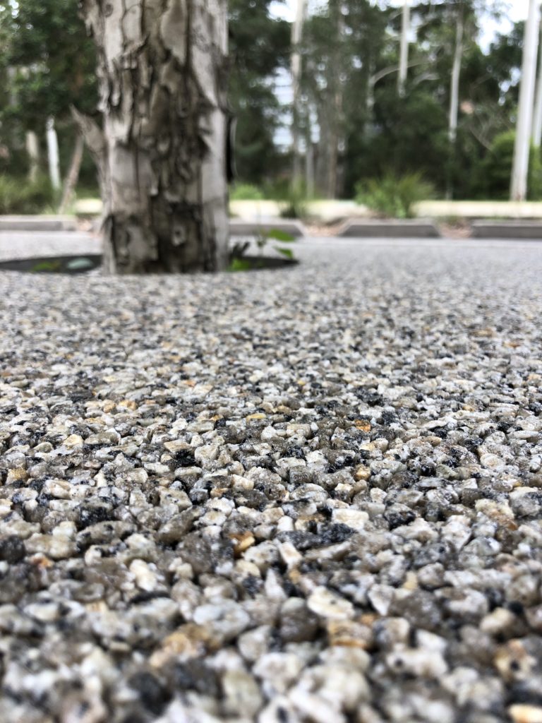 Why Are Permeable Rubber Tree Pits the Best Choice? 8 tree surrounds pit