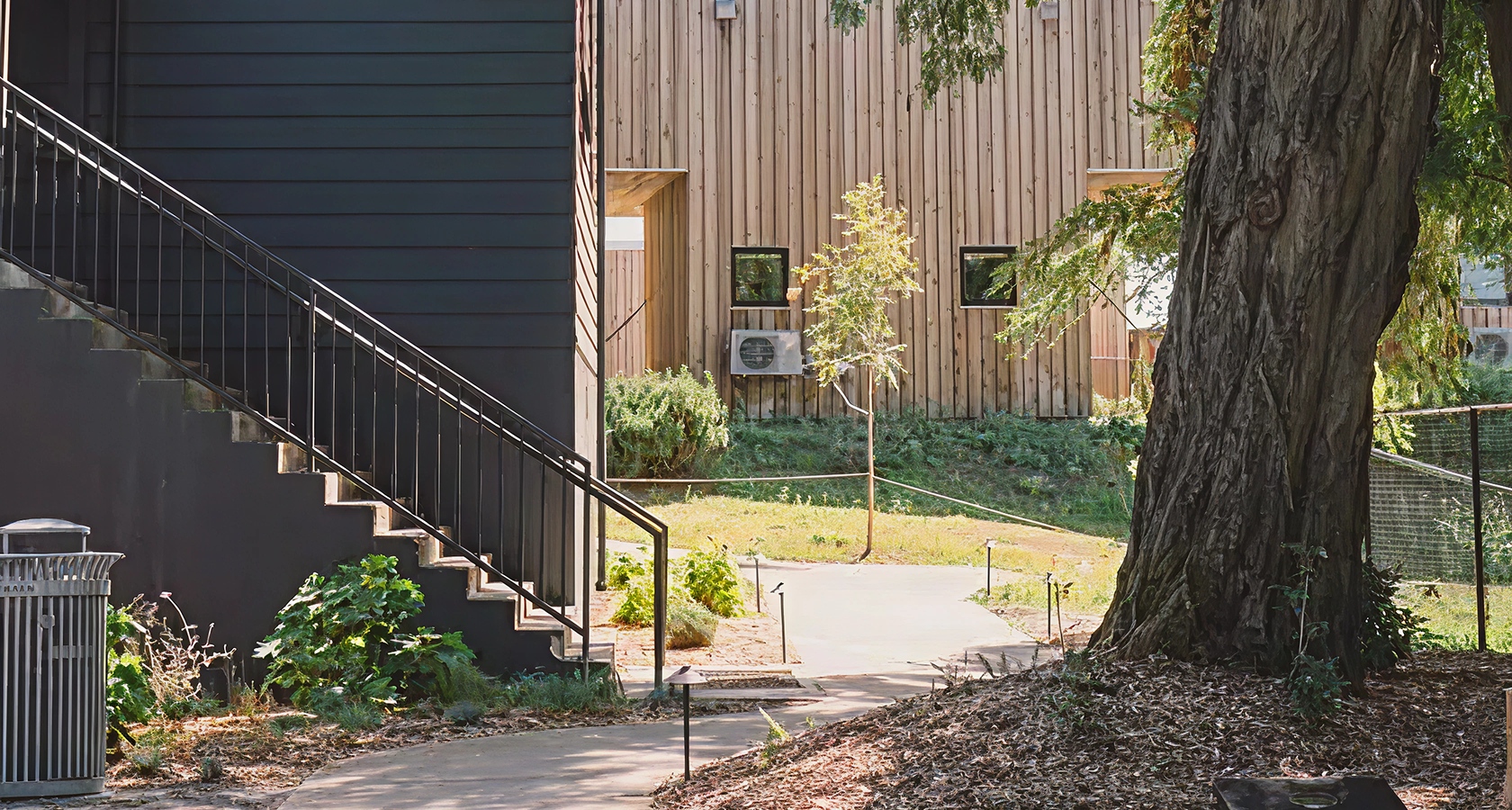 Permeable Paving Ideas for Tree-Centric Gardens compressed