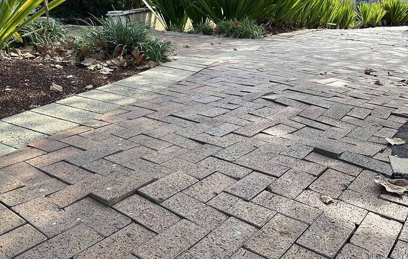 Wyong Central Coast Council Building – Public Footpath 03