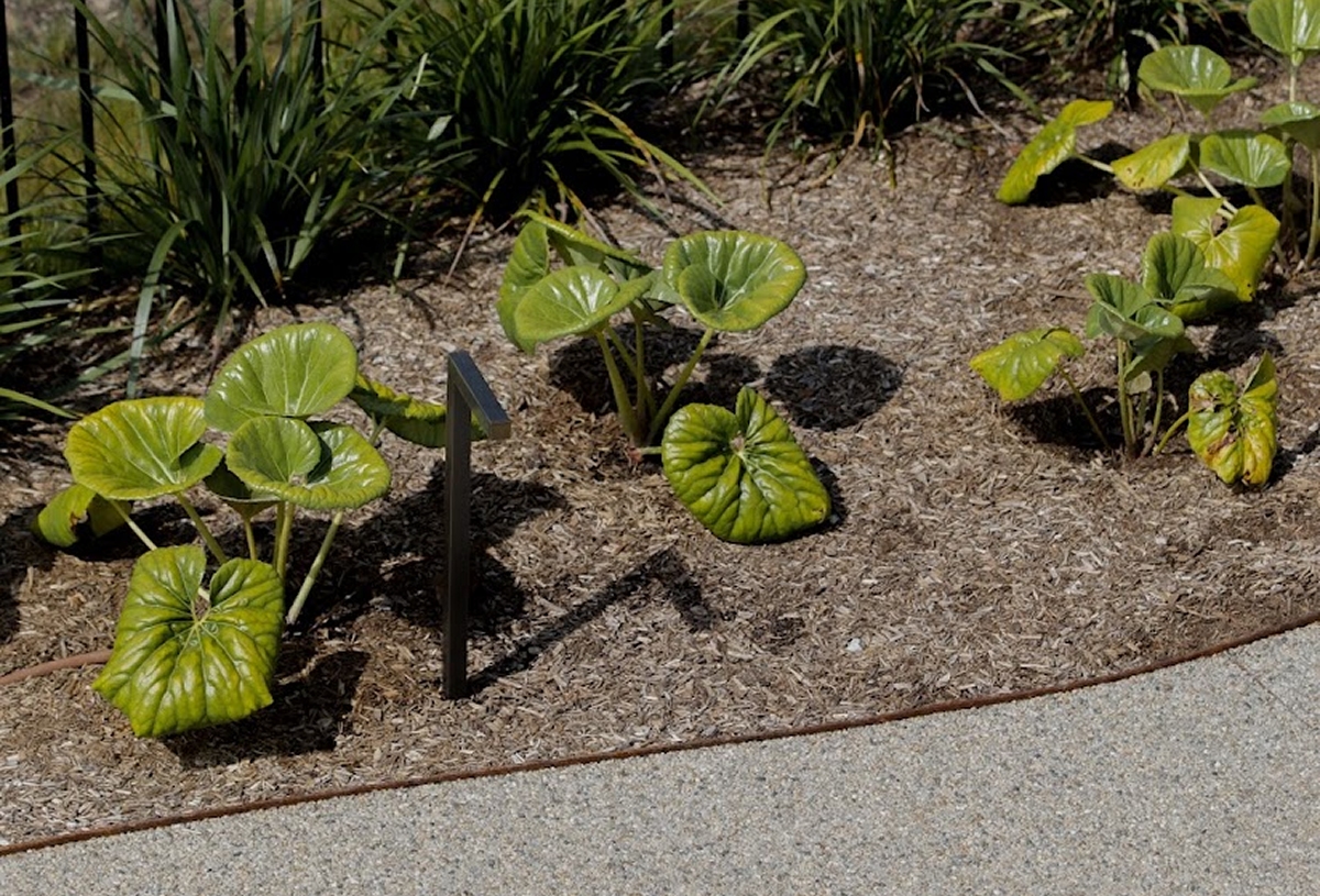 Footpath and Public Space compressed (2)