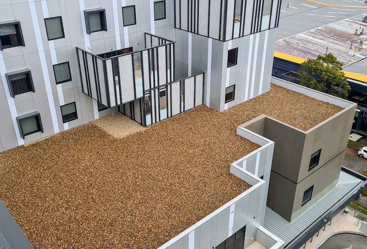 Rooftops 2 compressed