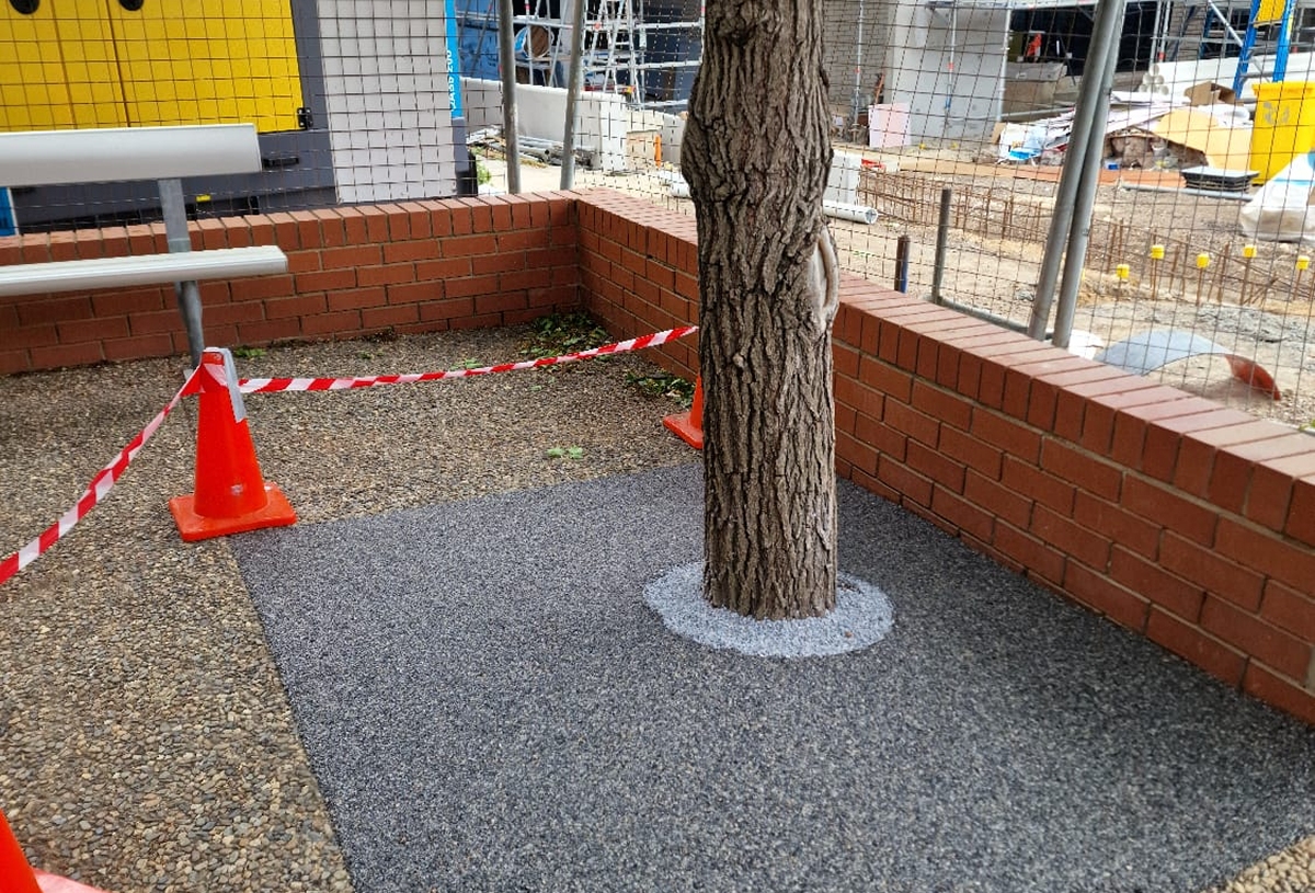 Tree Surrounds 10 compressed