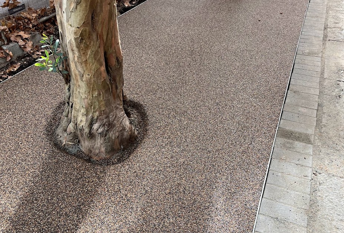 Tree Surrounds 11 compressed