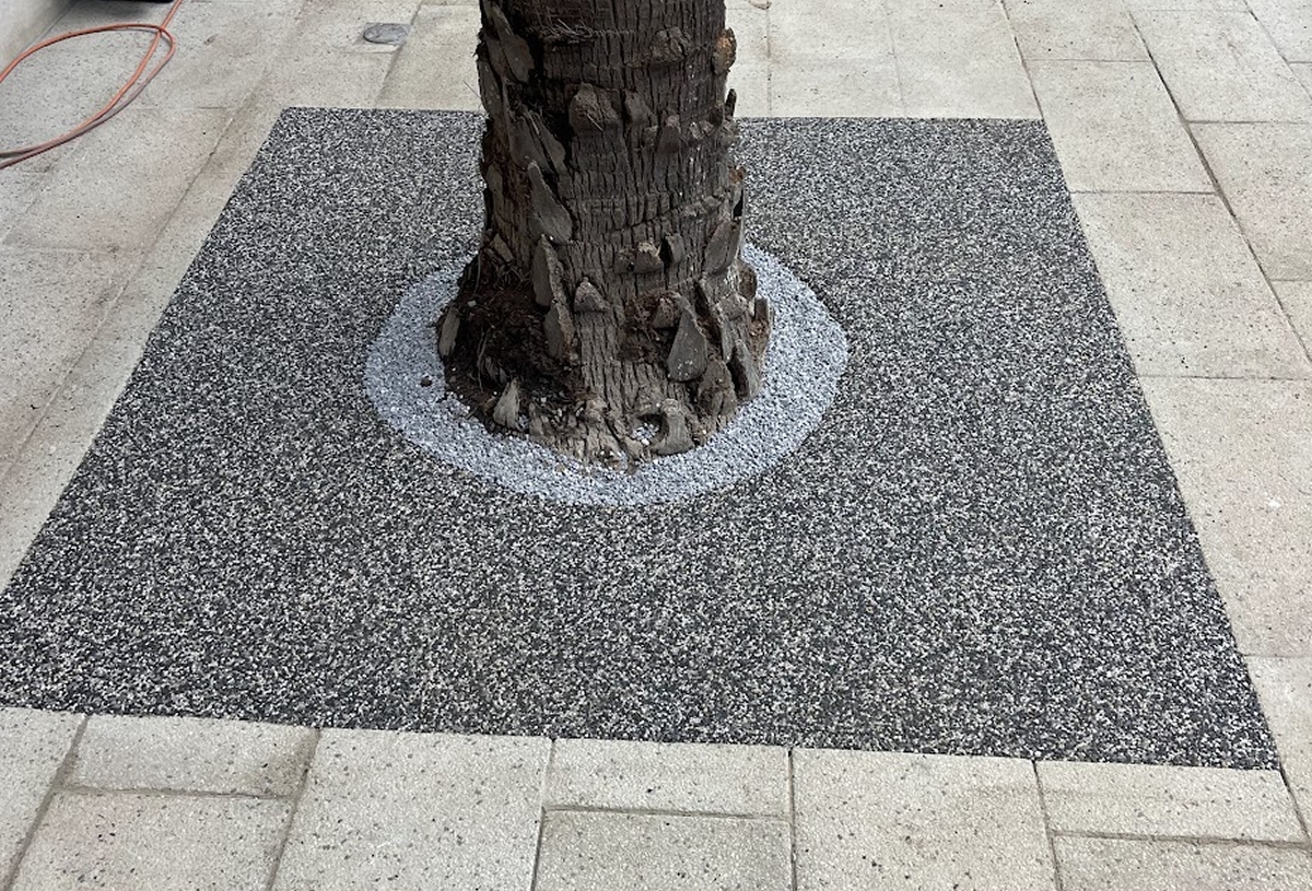 Tree Surrounds 12 compressed