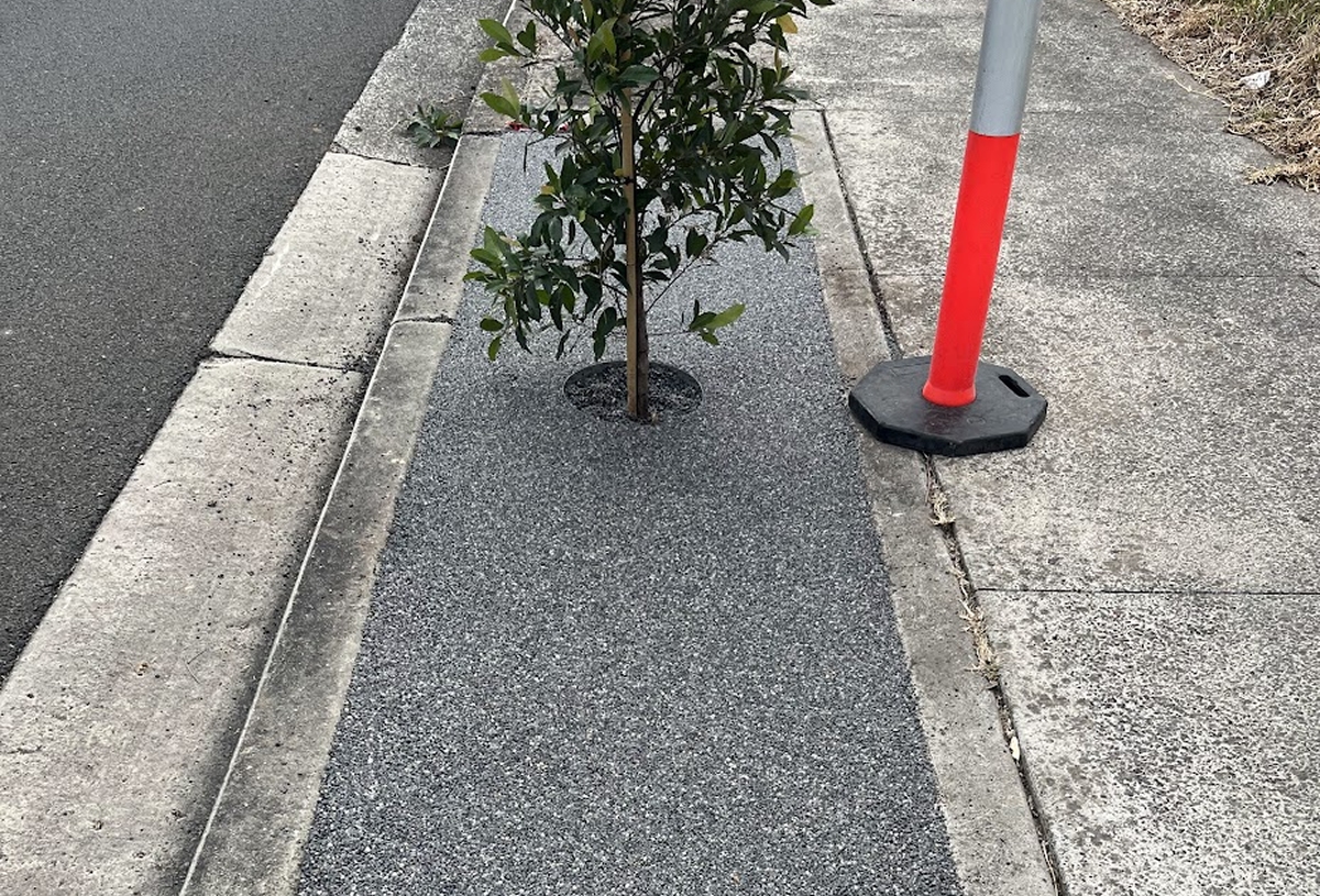 Tree Surrounds 13 compressed