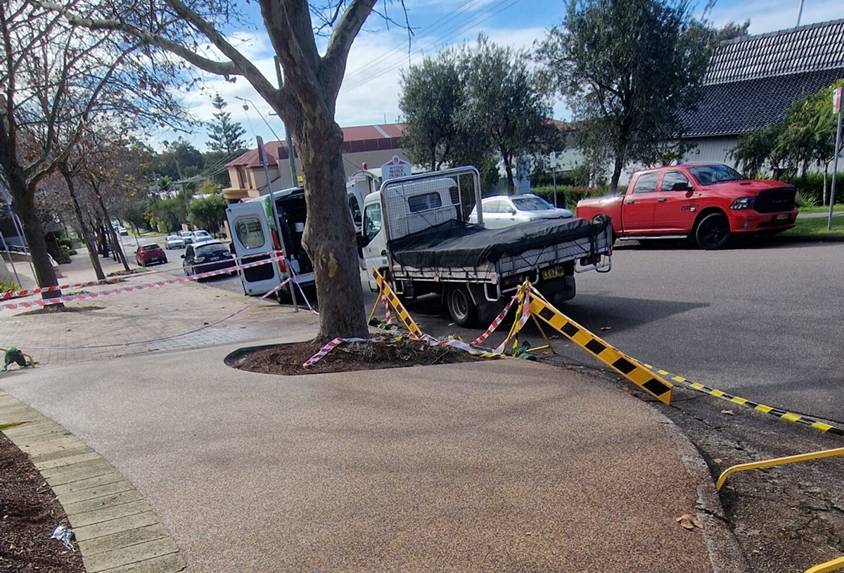 Tree Surrounds 14 compressed