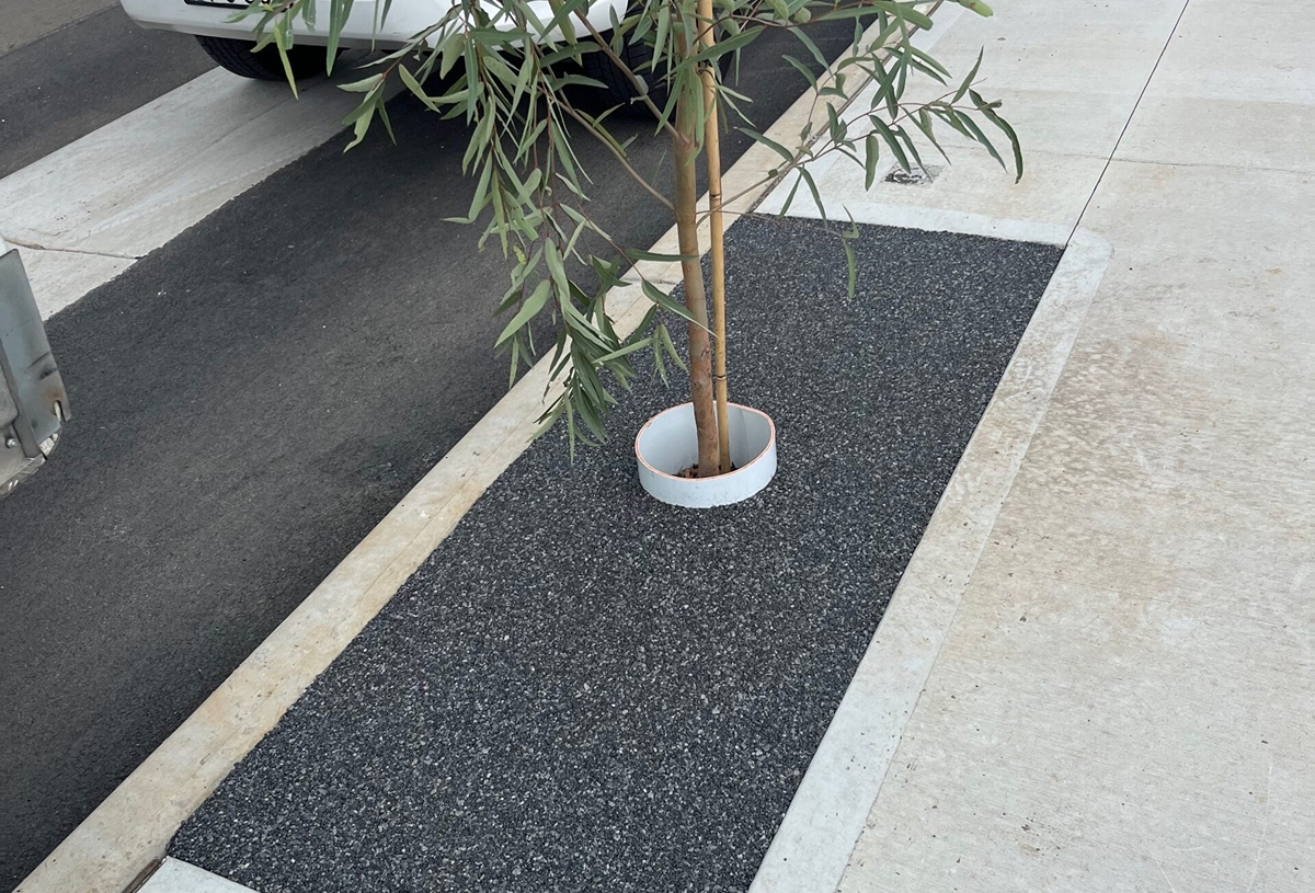 Tree Surrounds 16 compressed