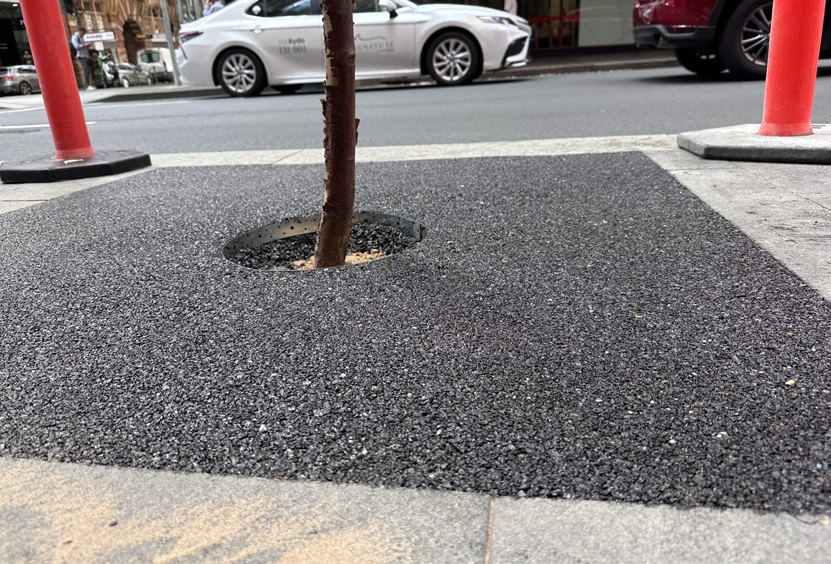 Tree Surrounds 17 compressed