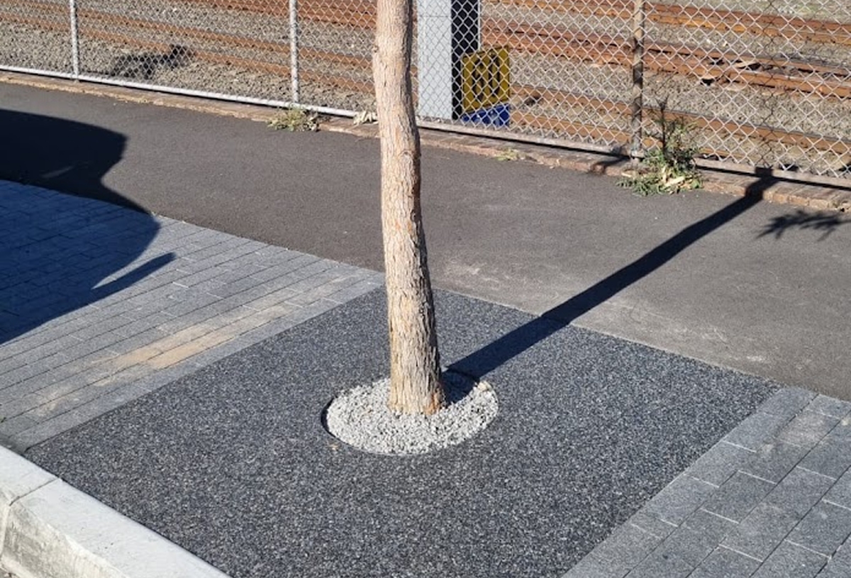 Tree Surrounds 7 compressed