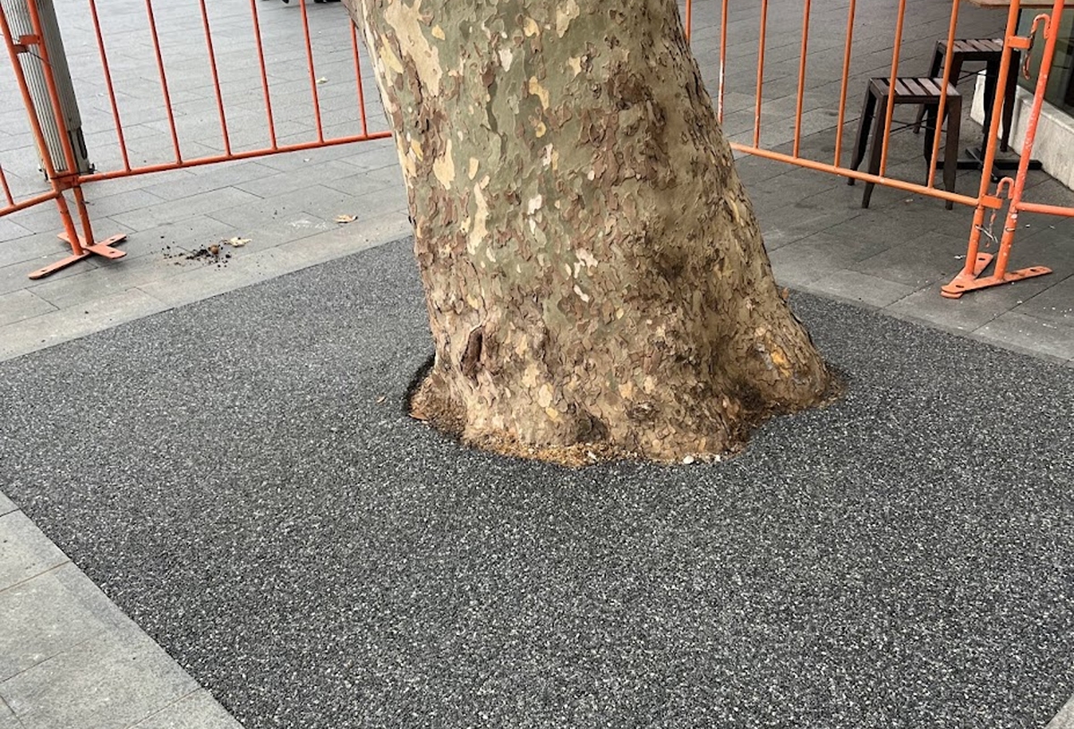 Tree Surrounds 8 compressed