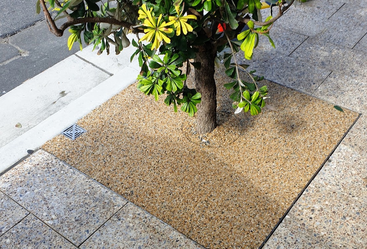 Tree Surrounds 9 compressed