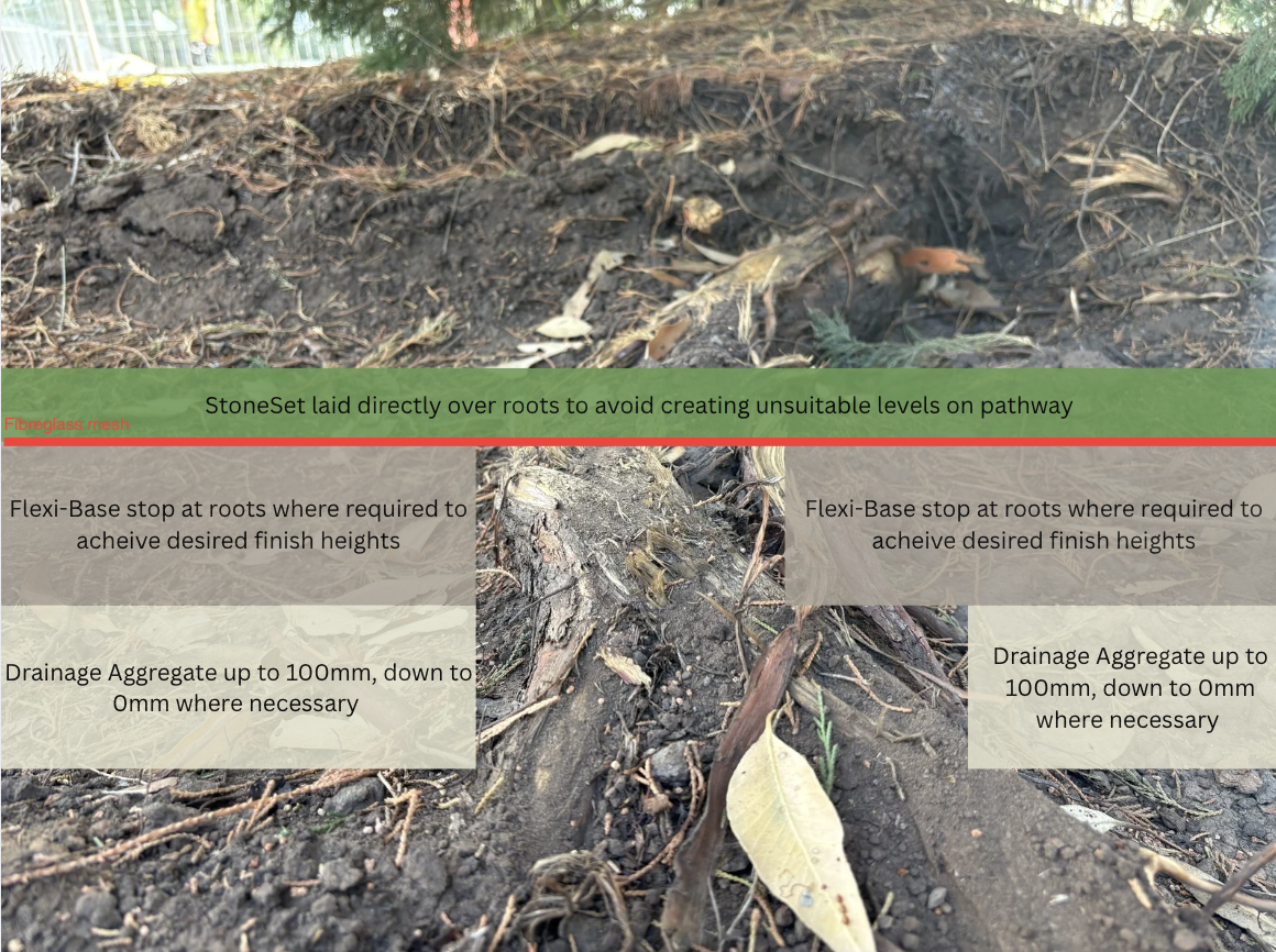 Tree root/permeable paving diagram