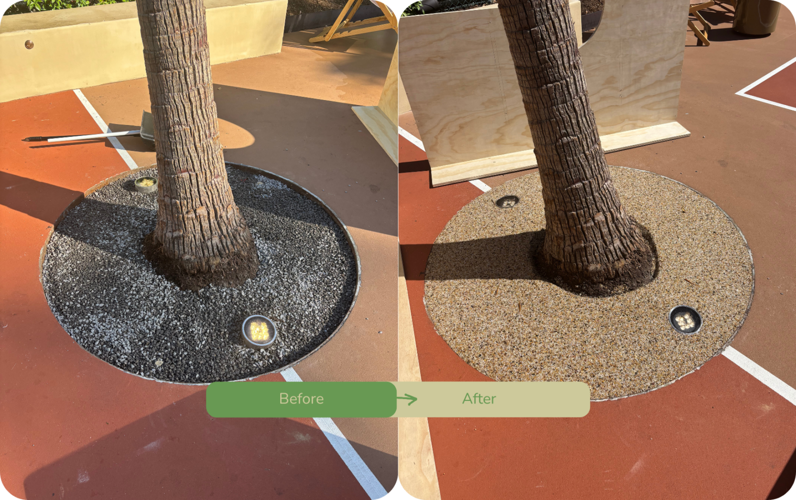 Before and After Tree Surround Sydney