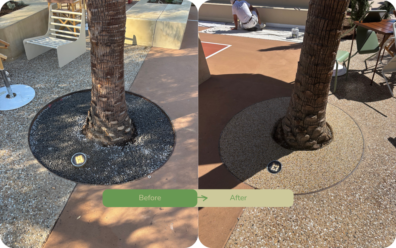 Before and After Tree Surround Sydney 2