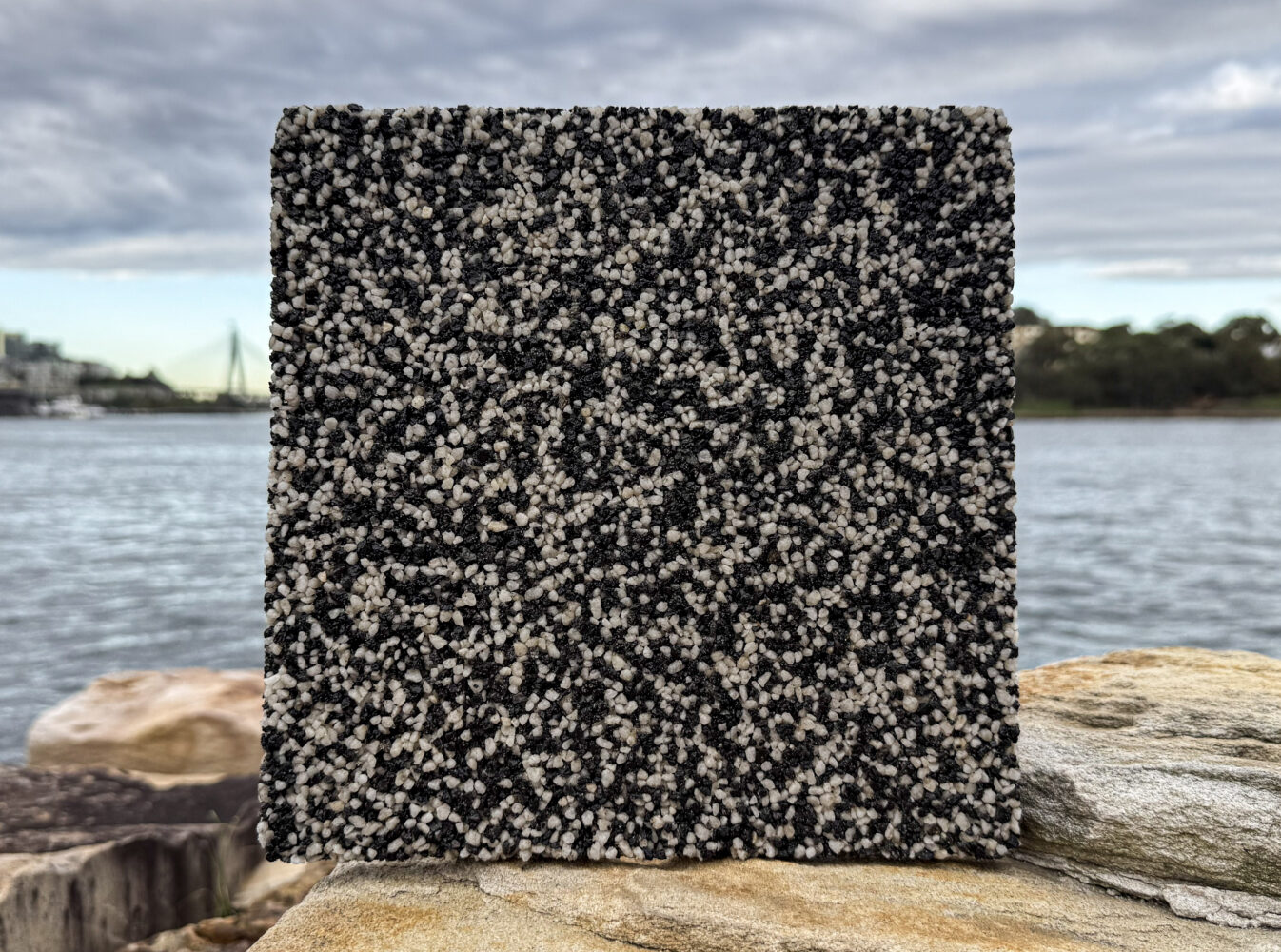 Black & White - Premium Colours