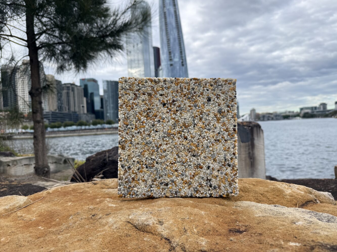 Palm Springs Premium Angle