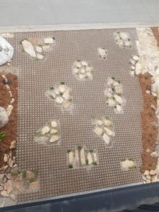 20200921 161701 300x225 1 rotated