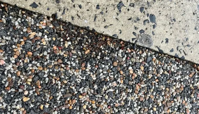Permeable-driveway-vs-Concrete-driveway