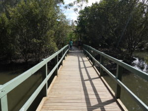 gough whitlam park earlwood cooks river sydney par3 300x225 1