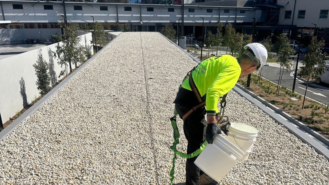 Installer in hi-vis and a safety harness applying treatment from a bucket to loose stone ballast on a rooftop at Nepean Hospital